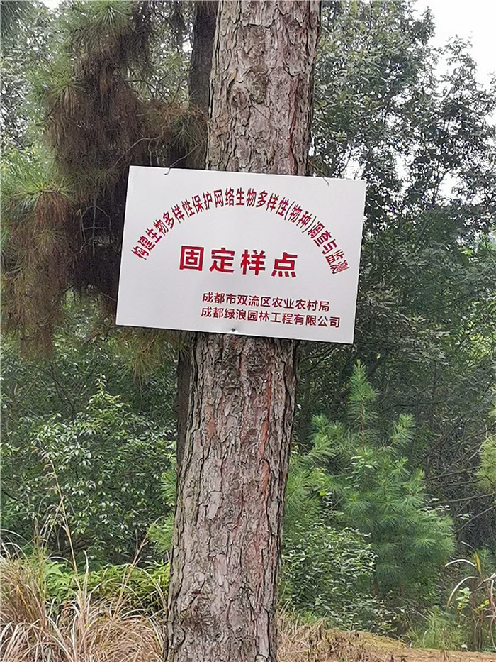 双流生物多样性视察项目