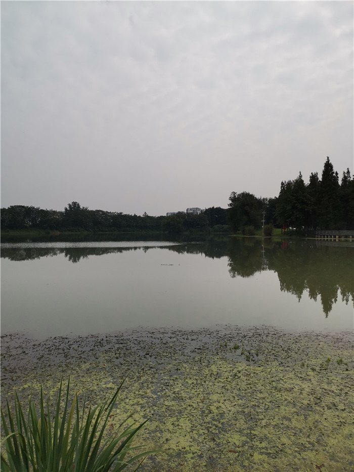 双流生物多样性视察项目