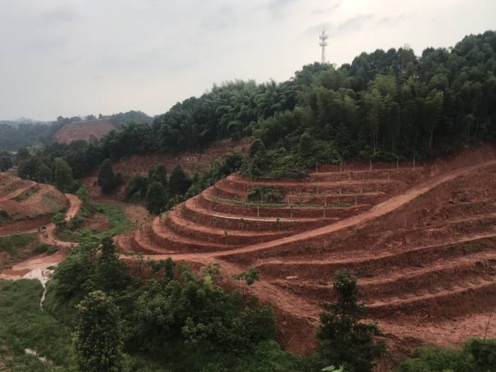 金秋湖基地