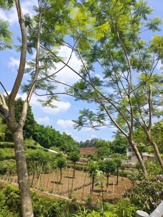 金秋湖基地